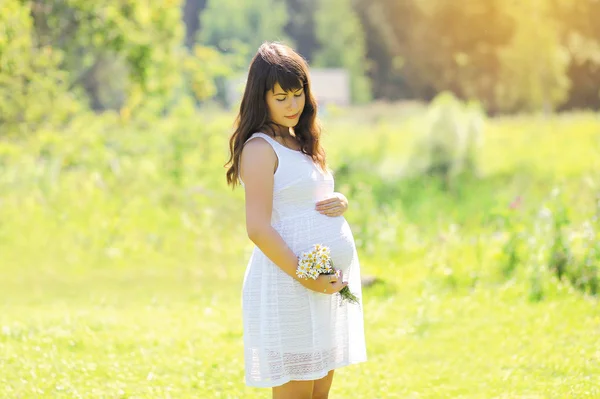 Lovely pregnant girl in summer field — Stock Photo, Image