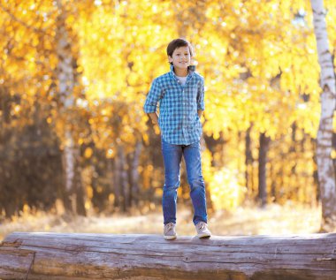 sonbahar günü, mutlu çocuk parkta yürüyüş