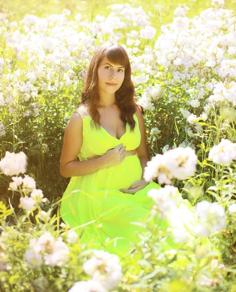 Pregnant lovely woman in flowers in summer sunny day — Stock Photo, Image