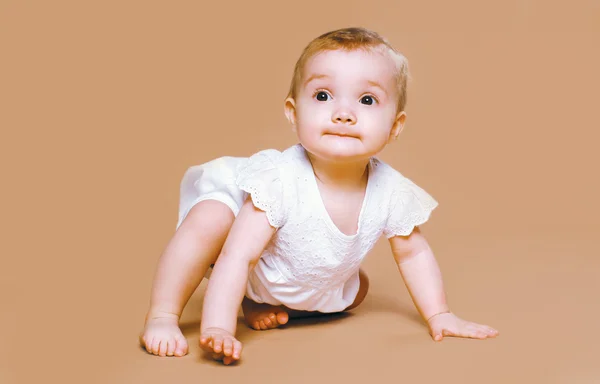 Encantador bebê brincando — Fotografia de Stock