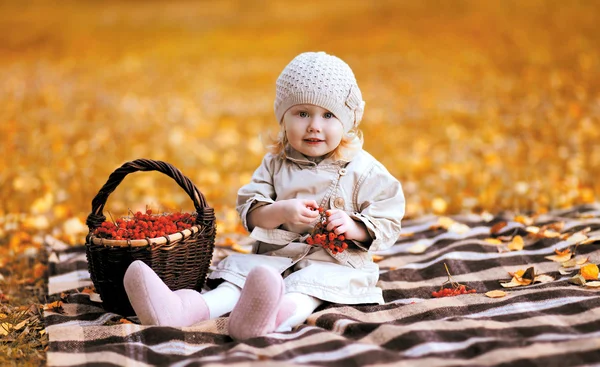 Autumn portrait child and basket with rowan berry