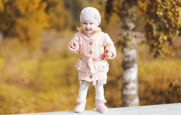 Child fun walking in autumn day — Stock Photo, Image