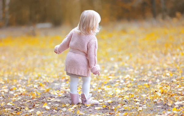 Pequena criança bonita caminha na floresta — Fotografia de Stock