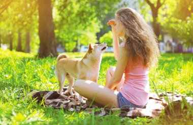 Happy dog and owner in summer park clipart