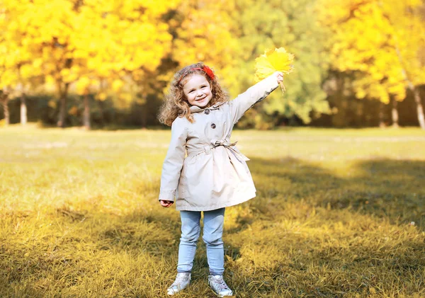 Sonbahar parkta eğleniyor mutlu küçük kız — Stok fotoğraf