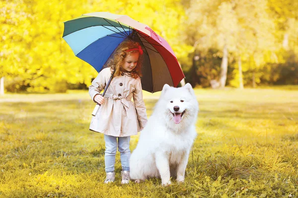 Glückliches kleines Mädchen mit Regenschirm geht mit Hund im Park spazieren — Stockfoto