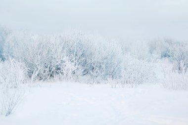 Kış soyut manzara arka plan, soğuk hava