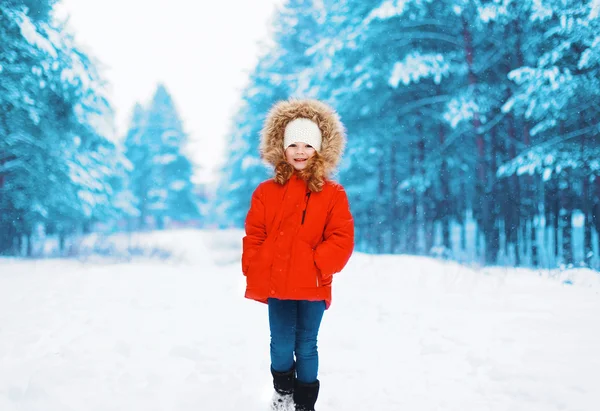 Niño feliz en chaqueta roja caminando en el bosque nevado de invierno —  Fotos de Stock