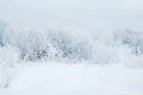 Winter abstract landscape background, cold weather