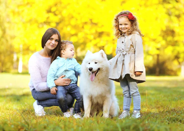 Familjeporträtt, ganska ung mamma och barn går med hund — Stockfoto