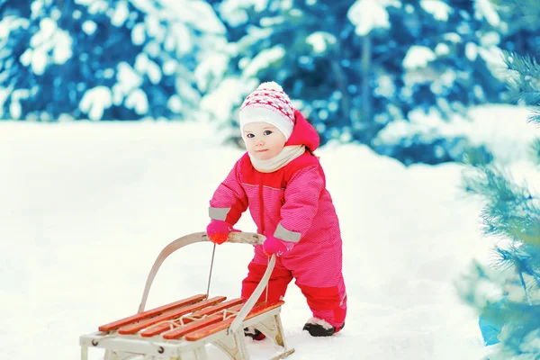 Baby kälkåkning på vintern dagen — Stockfoto