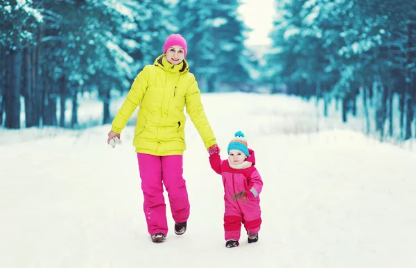 Familjen promenader i vinter snöiga skogen — Stockfoto