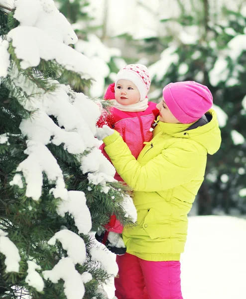 Mère et bébé marchant dans la forêt enneigée — Photo