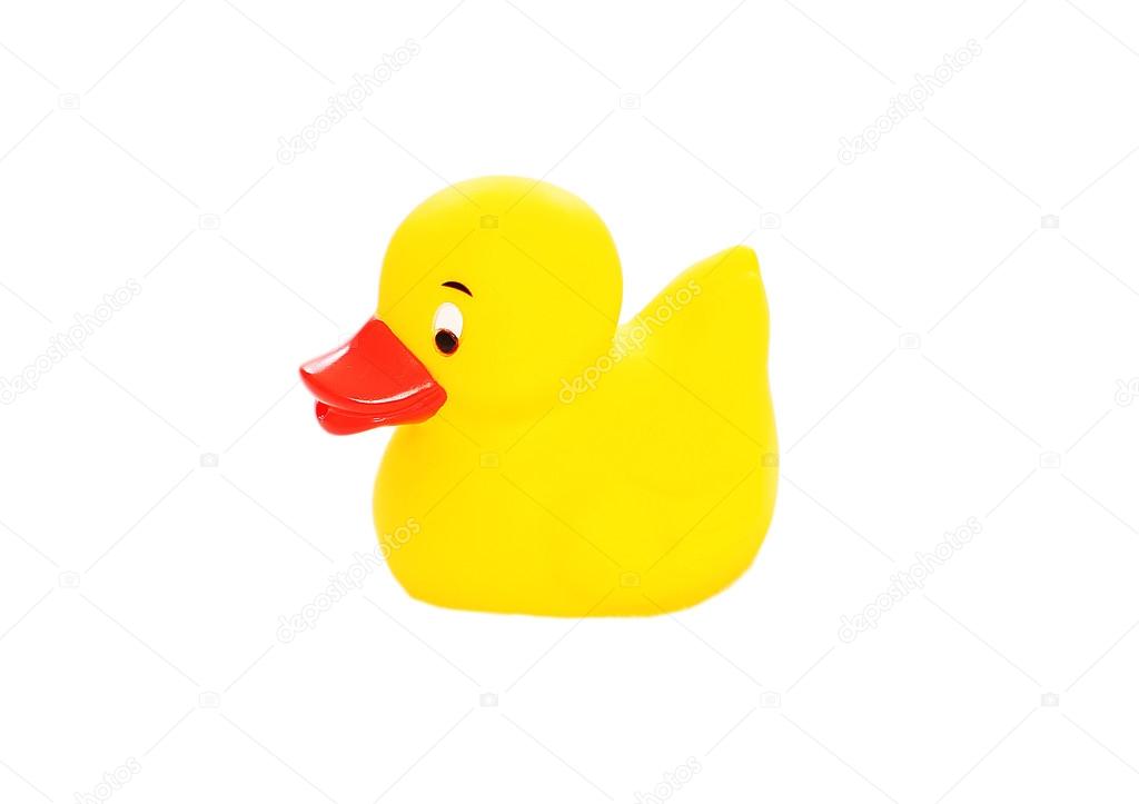 small duck toy
