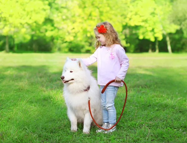 Child with white Samoyed dog on the grass in sunny summer day