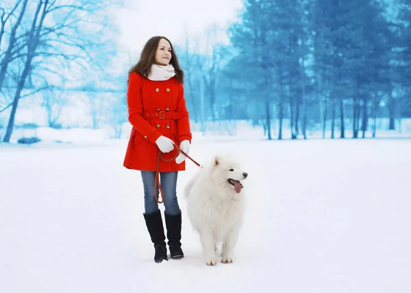 Happy pretty woman walking with white Samoyed dog outdoors in wi — Stock Photo, Image