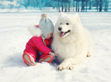 Çocuk ile beyaz Samoyed köpek kış günü kar üzerinde