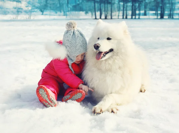 Παιδί με λευκό σκυλί Samoyed σχετικά με το χιόνι στις ημέρα του χειμώνα — Φωτογραφία Αρχείου