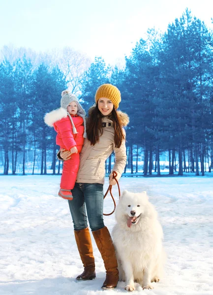 Happy mother and child walking with white Samoyed dog in winter — Stock Photo, Image