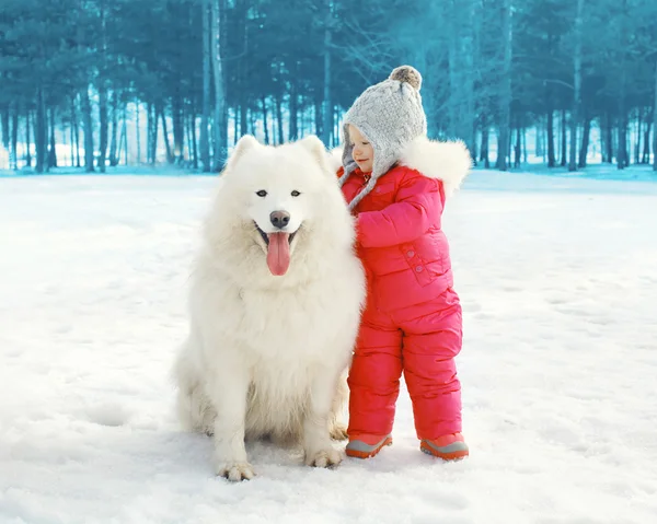 Portrait of happy child with white Samoyed dog in winter day — Stock Photo, Image