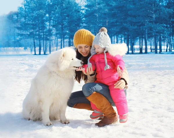 Happy mother and child with white Samoyed dog in winter day — Stock Photo, Image