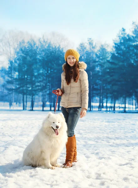 Propietaria mujer paseando con perro Samoyedo blanco en día de invierno —  Fotos de Stock