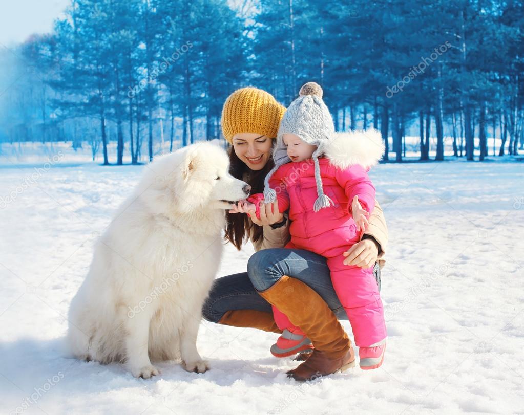 Happy mother and child with white Samoyed dog in winter day