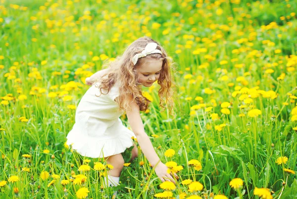 Маленька дівчинка дитина на лузі збирає жовті квіти кульбаби в — стокове фото