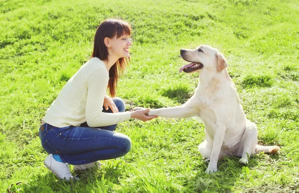 Happy owner woman with labrador retriever dog trains on the gras — Stock Photo, Image