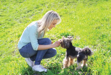 Çimenlerin üzerinde eğleniyor yorkshire terrier köpek ile kadın sahibi