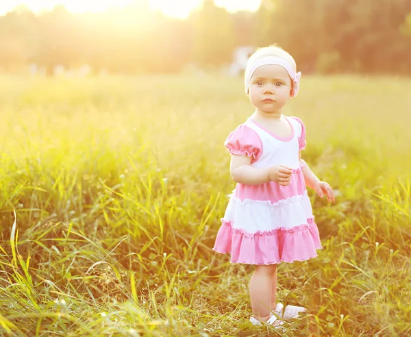 Portrait of little girl child on the grass in sunny summer eveni — 스톡 사진