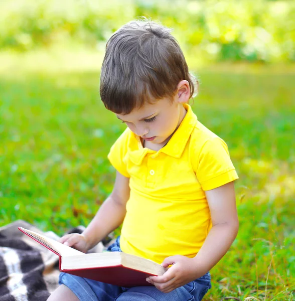 Child boy reading a book on the grass in summer day — Stock Photo, Image