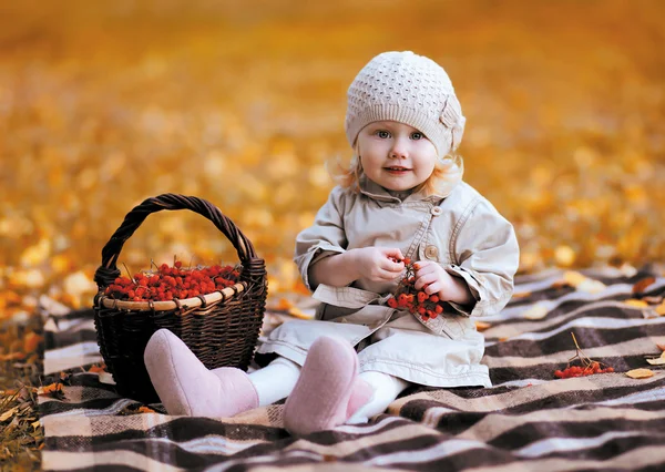 Cute child and basket with red rowan berry in autumn day