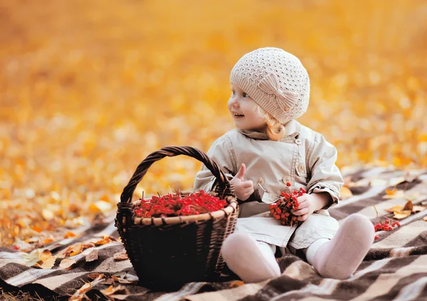 Uśmiechający się dziecko i kosz z Czerwona jarzębina jagoda w jesienny dzień — Zdjęcie stockowe