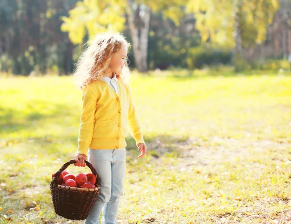 Little girl child and basket with apple in autumn day — Stock Photo, Image