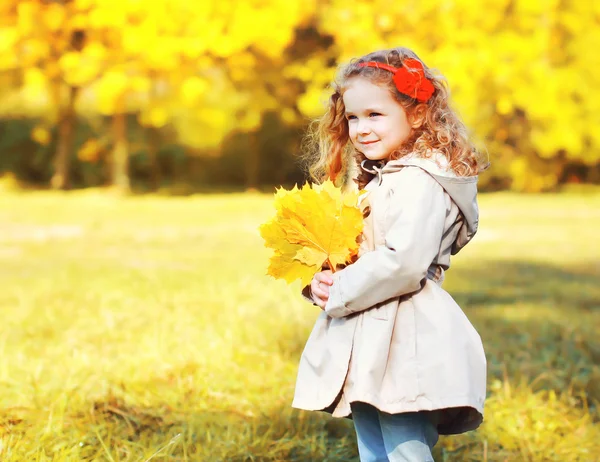 Portræt sød lille pige barn med gul ahorn blade i efterår - Stock-foto