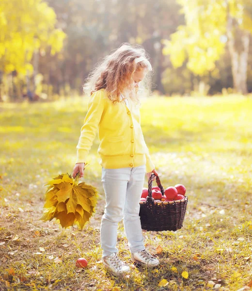 Bambina bambina con foglie di acero giallo e cesto con mela — Foto Stock