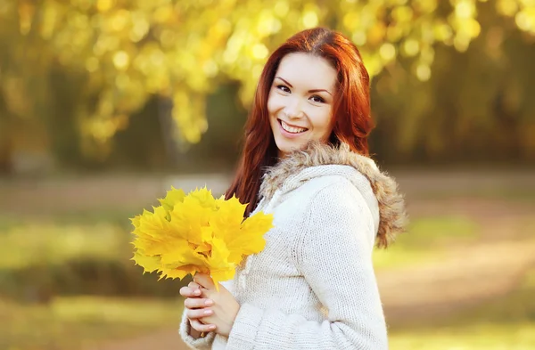 Retrato de mujer bastante sonriente con hojas de arce amarillo en autu — Foto de Stock