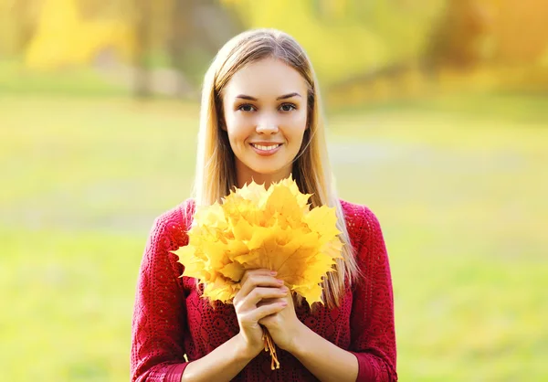 Retrato de hermosa mujer sonriente con hojas de arce amarillo en un —  Fotos de Stock