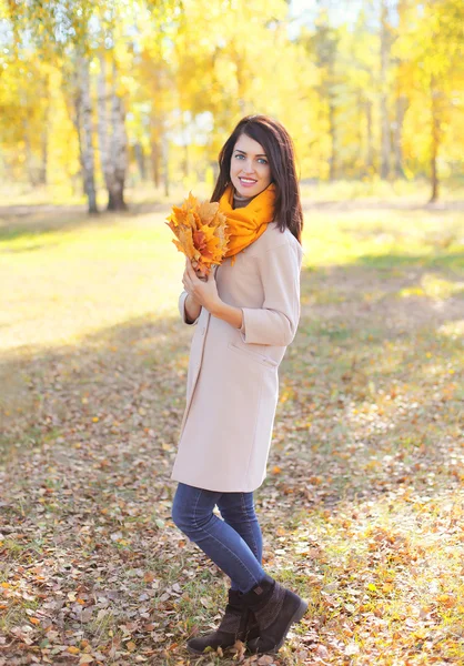 美丽微笑的女人，与黄色枫叶叶子在秋季的一天 — 图库照片