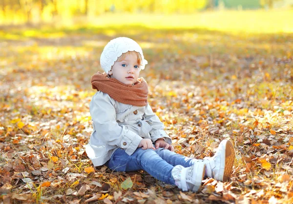 Menina bonito criança sentada em folhas amarelas no dia de outono — Fotografia de Stock