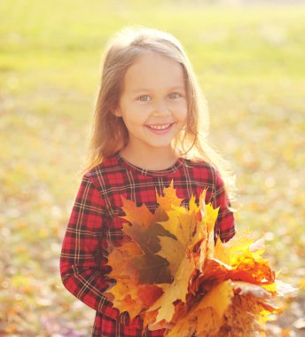 Sarı akçaağaç ile çocuk sonbahar günü eğlenmek yapraklar