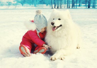 Beyaz Samoyed köpek kış günü kar üzerinde oturan çocuk