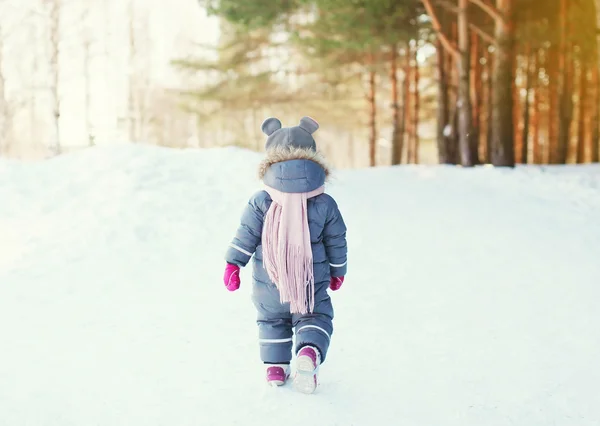 Silhouette litet barn gå i skogen på en vinterdag — Stockfoto
