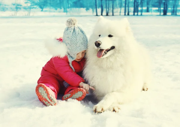 겨울 날에 눈에 흰색 Samoyed 개로 앉아 아이 — 스톡 사진