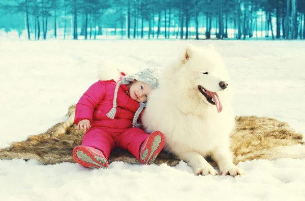 Child with white Samoyed dog having fun on snow in winter day — Stock Photo, Image
