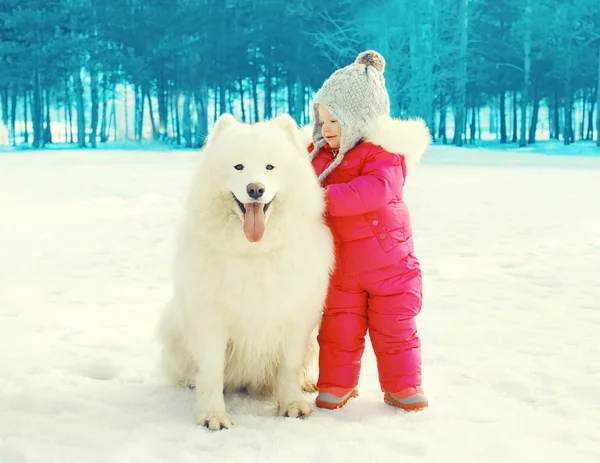 Child with white Samoyed dog on snow walking in winter day — Stock Photo, Image