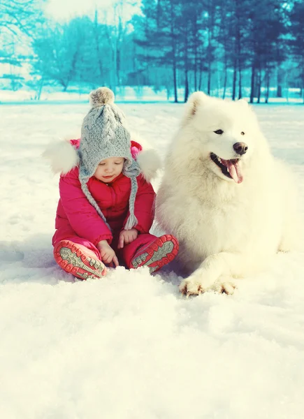 Child and white Samoyed dog on snow in winter day — Stock Photo, Image