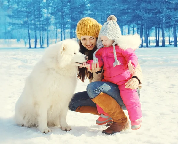 Family in winter day, happy mother and child walking with white — Stock Photo, Image