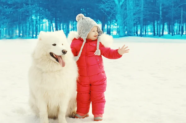 Χαριτωμένο παιδί με λευκό σκυλί Samoyed για περπάτημα στην ημέρα του χειμώνα χιόνι — Φωτογραφία Αρχείου